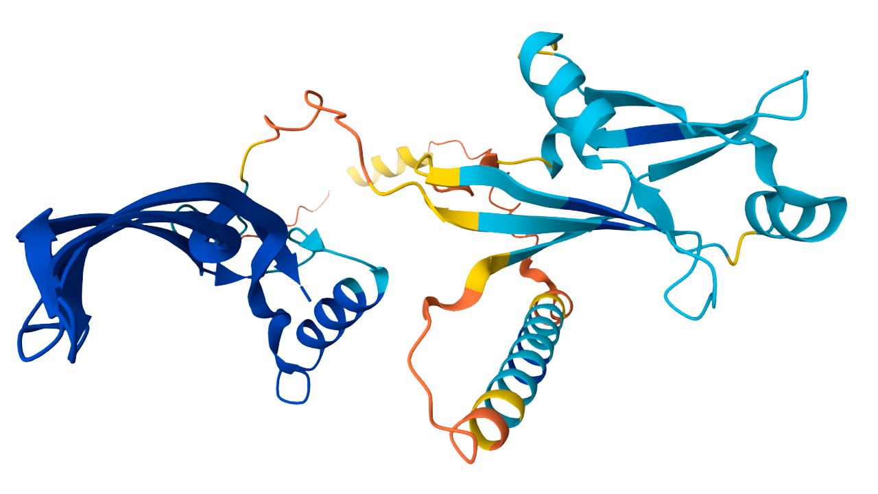 The Algorithm That Solved Biology's 50-Year Grand Challenge