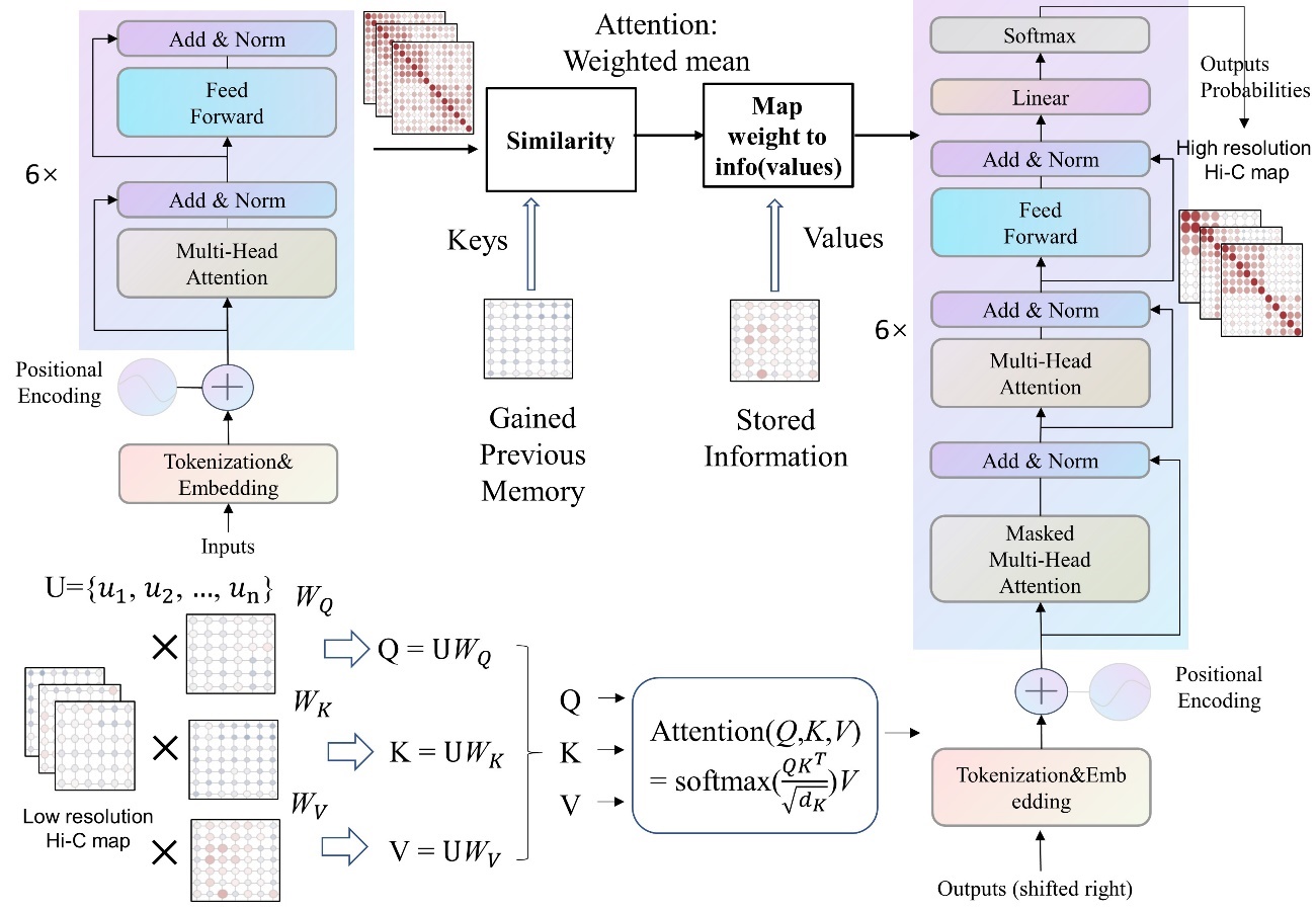 The Architecture That Ate AI