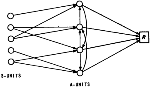 The Machine That Learned: Rosenblatt's Perceptron