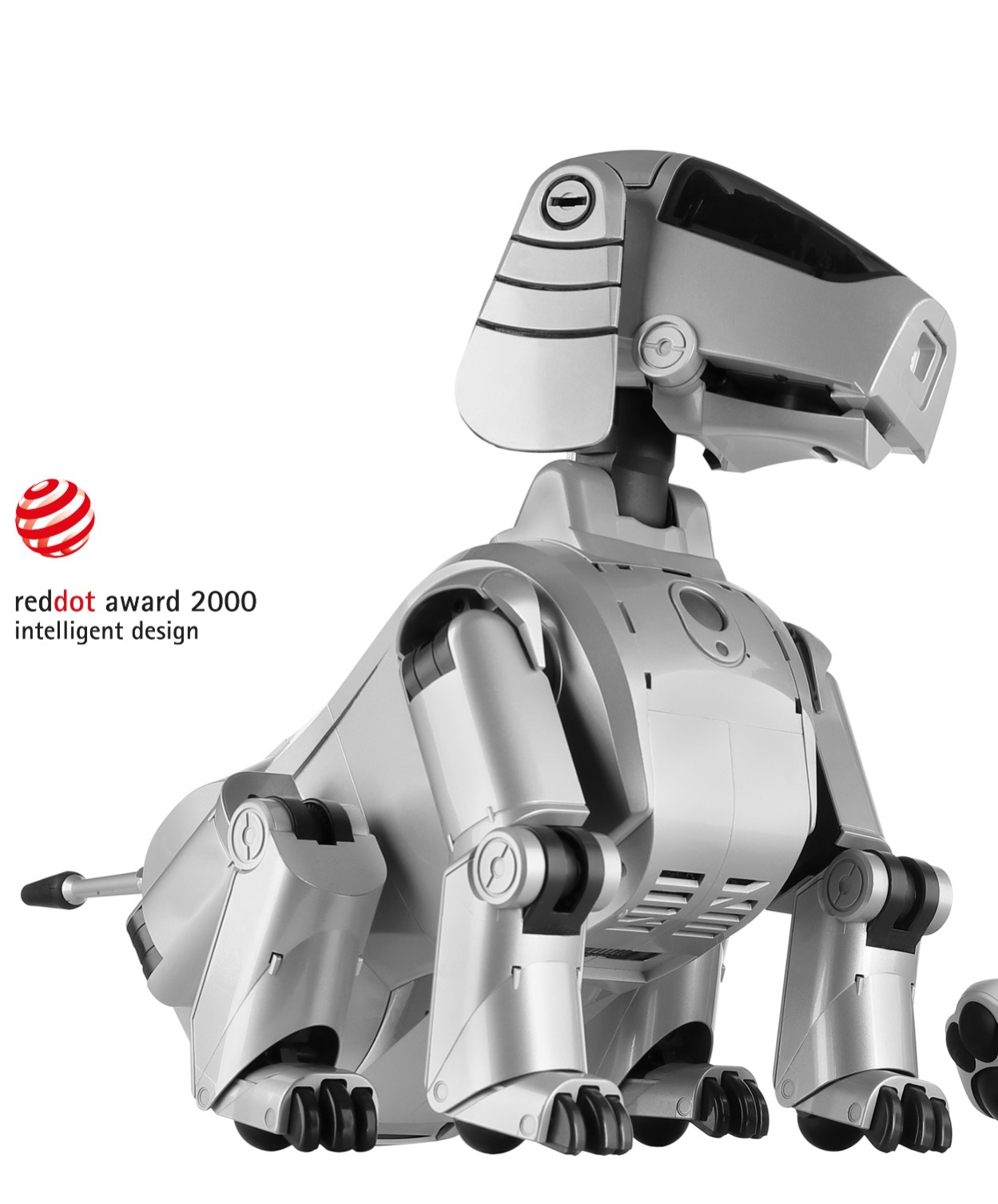 The Pet That Never Needed Feeding