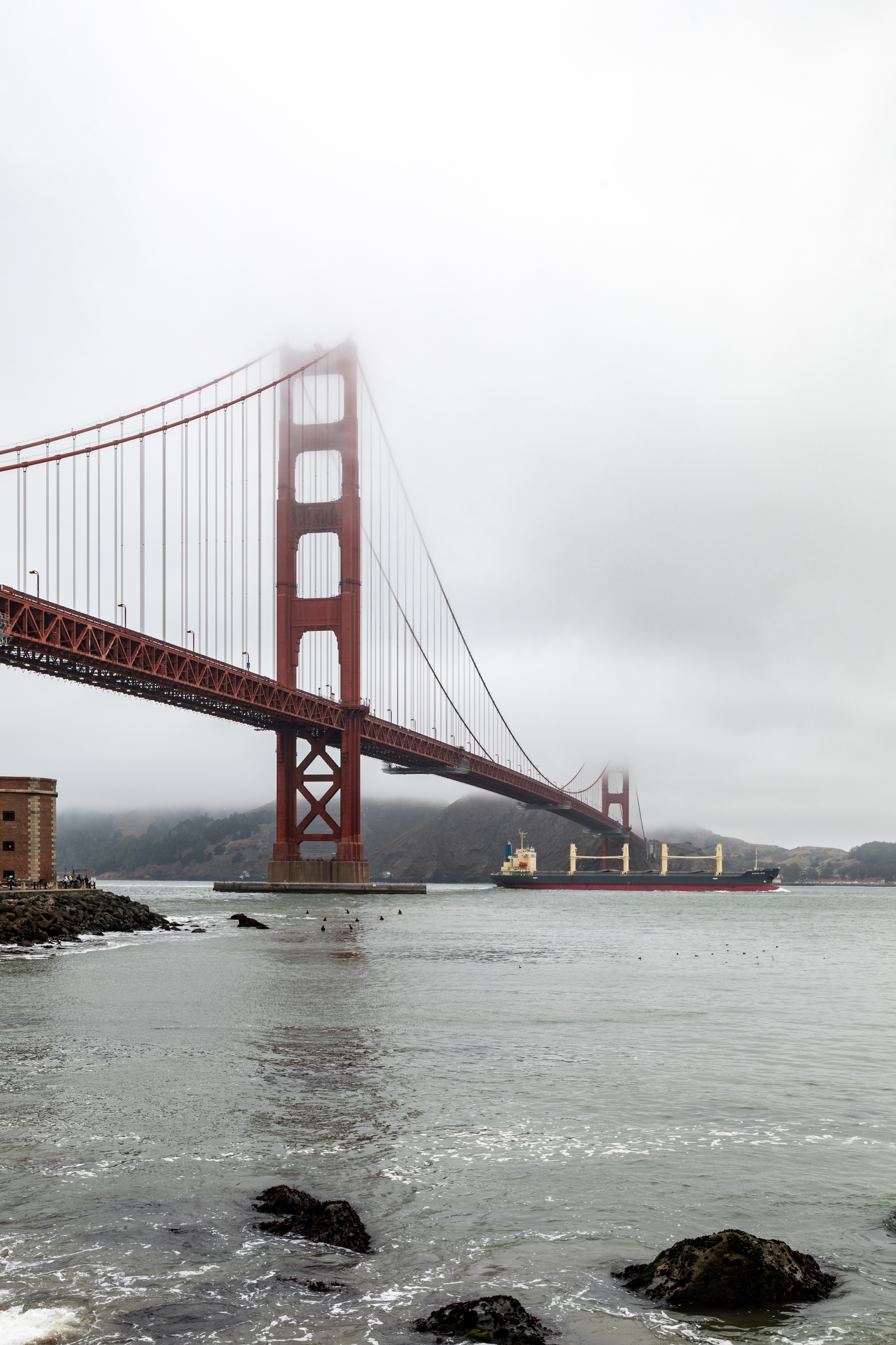 The Foghorns That Guide the Lost